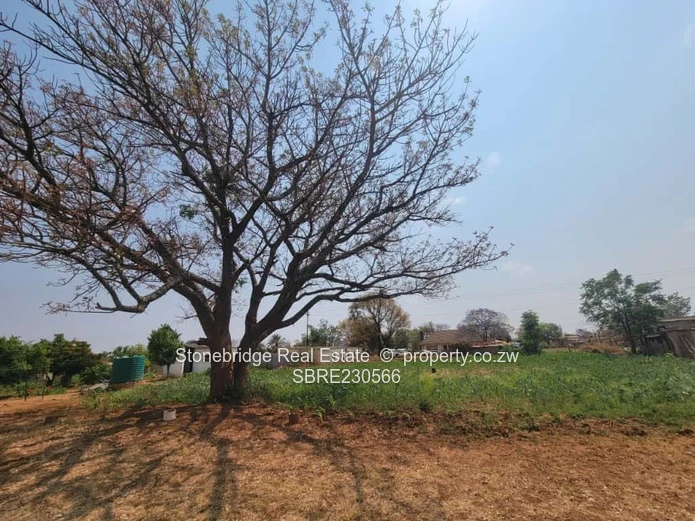 3 Bedroomed house in Kingsdale (Newmansford) for sale