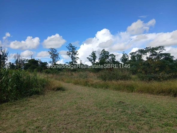 Stands & Residential Land