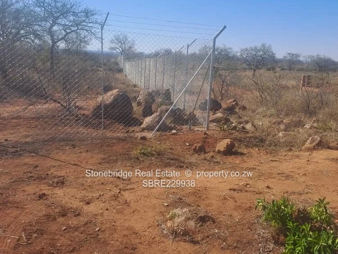 Burnside 3 Acres of Land for sale